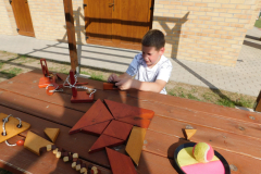 DSCN0137