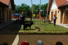 DSCN1284