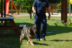 DSCN1310